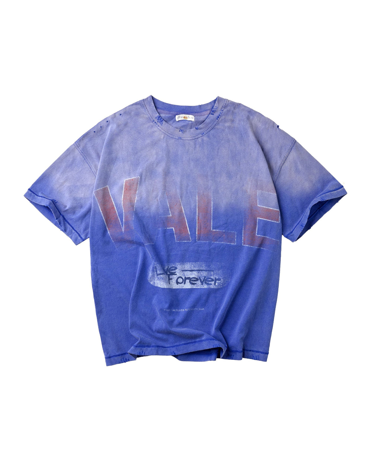 VALE LOGO TEE [BLUE]